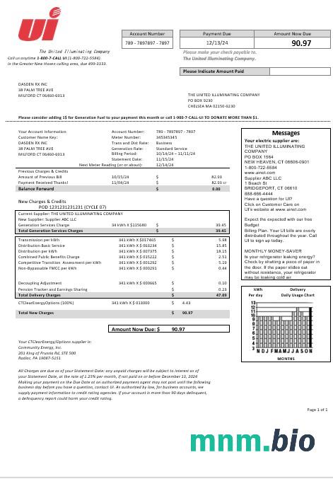 USA Connecticut the United Illuminating Company electricity rachunek za usługi komunalne szablon w formatach Word i PDF